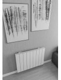 radiatoare aluminiu,radiator aluminiu,calorifere,calorifer,radiatoate,radiator